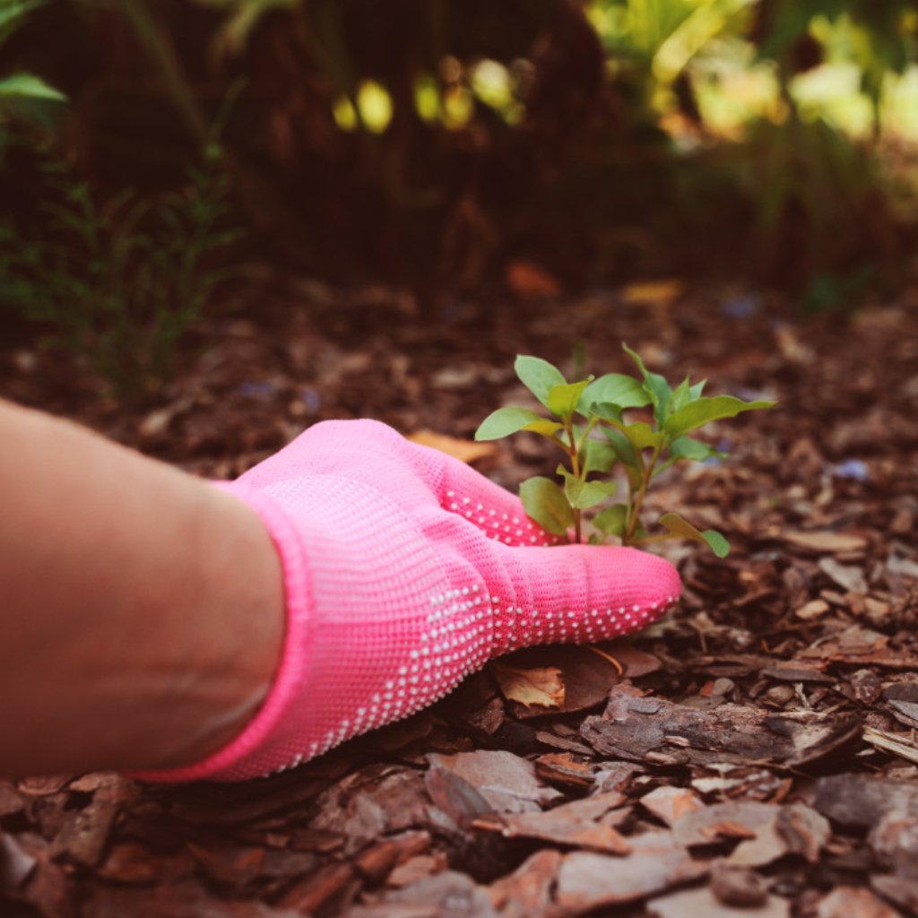 how-to-prevent-spring-weeds-in-your-lawn-or-not