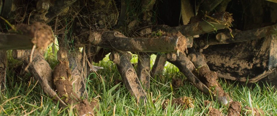 Aerator tines with soil cores in Delaware, OH.