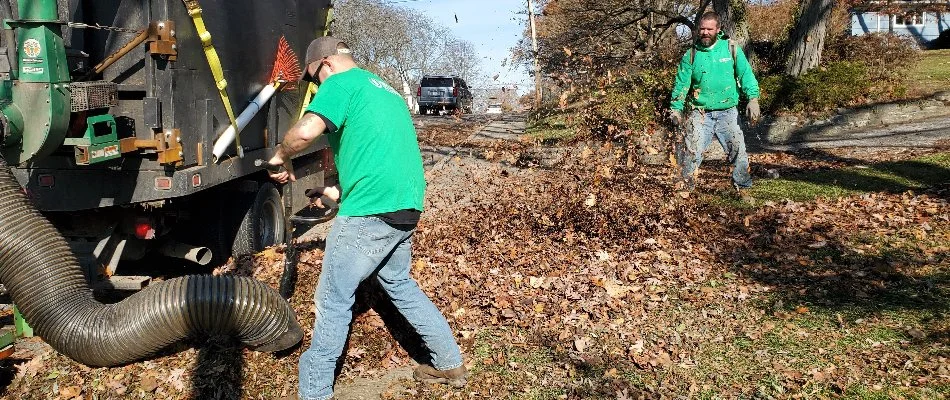 Debris and leaf removal on a lawn in Delaware, OH, to prepare for overseeding.