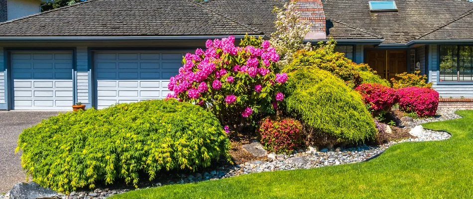 A rock landscape bed in Delaware, OH, with pruned shrubs and many flowers.