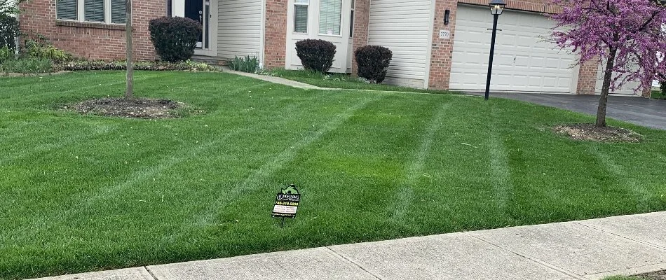 Thick, green grass with a house and small trees in Delaware, OH.