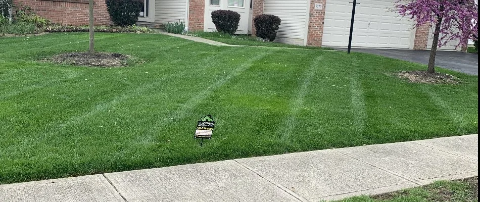 Green grass and small trees in a front yard in Clintonville, OH.