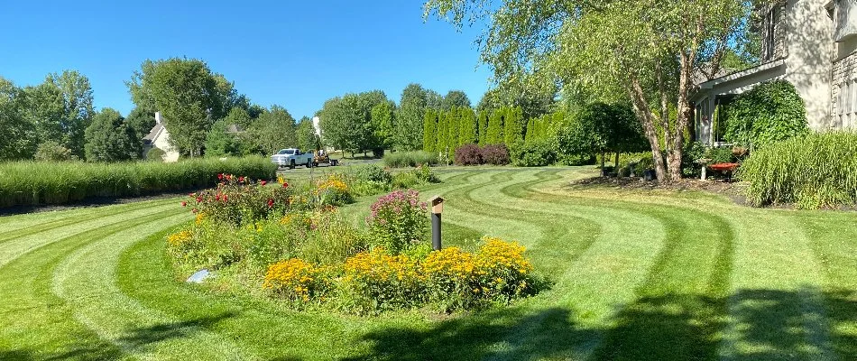 A green lawn with mowing patterns and plants on a property in Upper Arlington, OH.