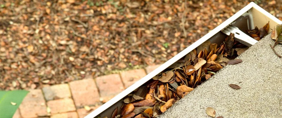 Leaves clogging a gutter in Delaware, OH.